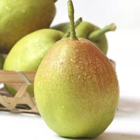 陕西红香酥梨 源于库尔勒香梨的新鲜之选，邮乐官网批发正当时