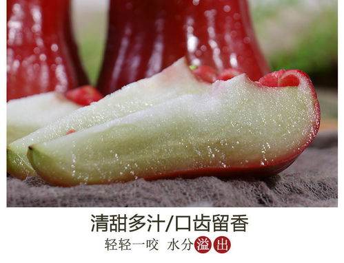 热带鲜果“黑珍珠”——新鲜莲雾与海南雾莲果的批发尝鲜指南