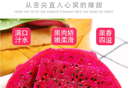 金都一号蜜宝红心火龙果 现摘新鲜，甜蜜直达