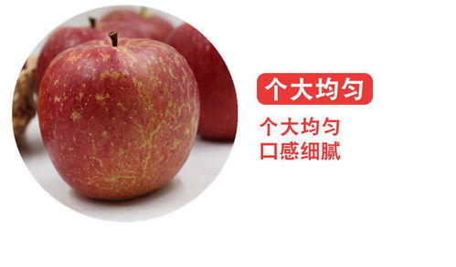 大凉山盐源丑苹果 冰糖心红富士，应季脆甜新鲜直达