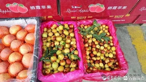 冬枣变“夏枣”？反季上市价高销量涨，25元一斤仍受热捧