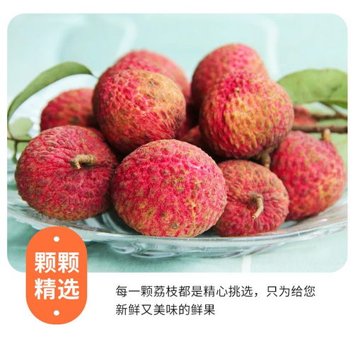 高州白糖罂荔枝 当季鲜果，滋味直达——5斤装整箱批发品鉴