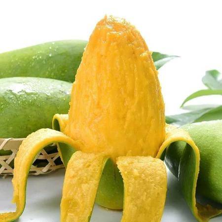 越南玉芒大青芒果 整箱新鲜批发，四季甘甜好选择