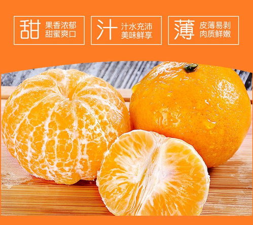 武鸣沃柑 新鲜应季的甜蜜之选，打造健康果盘新风尚